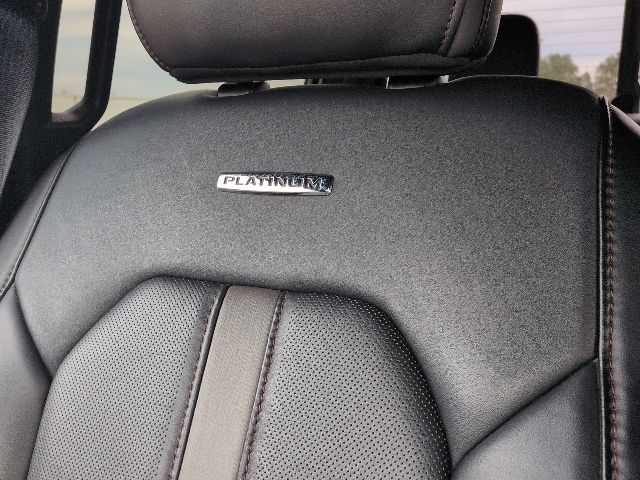 2020 Ford F-150 Platinum photo 13