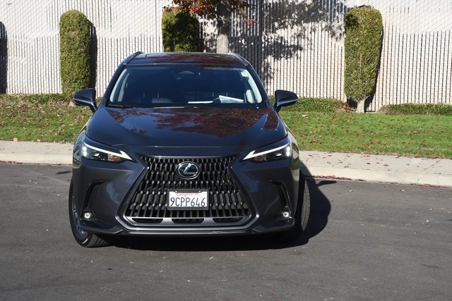 2022 Lexus NX 350h photo 2