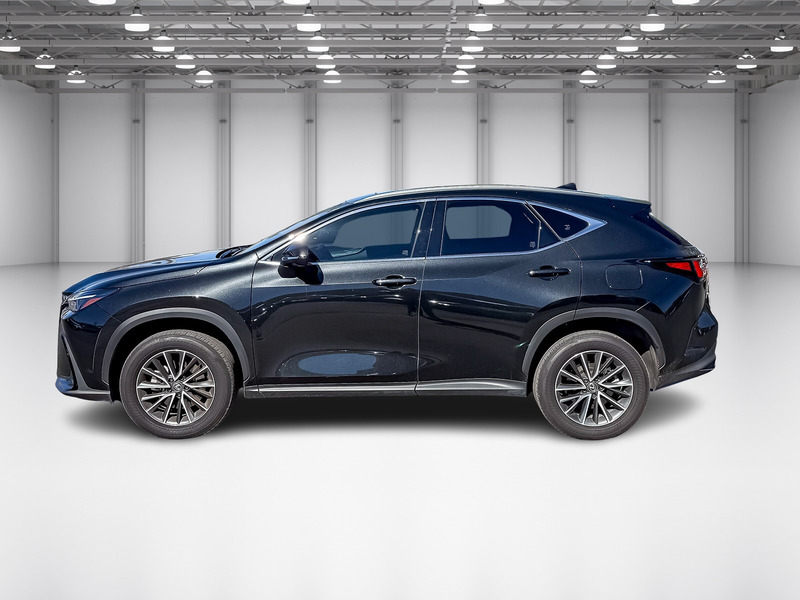 2024 Lexus NX 350 Premium photo 2