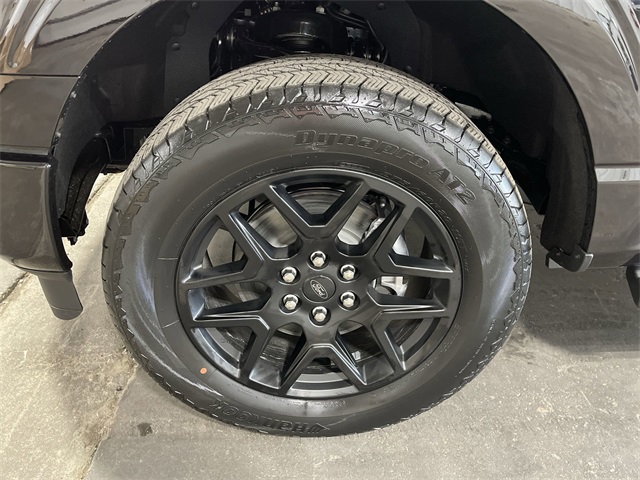 2025 Ford F-150 STX photo 22
