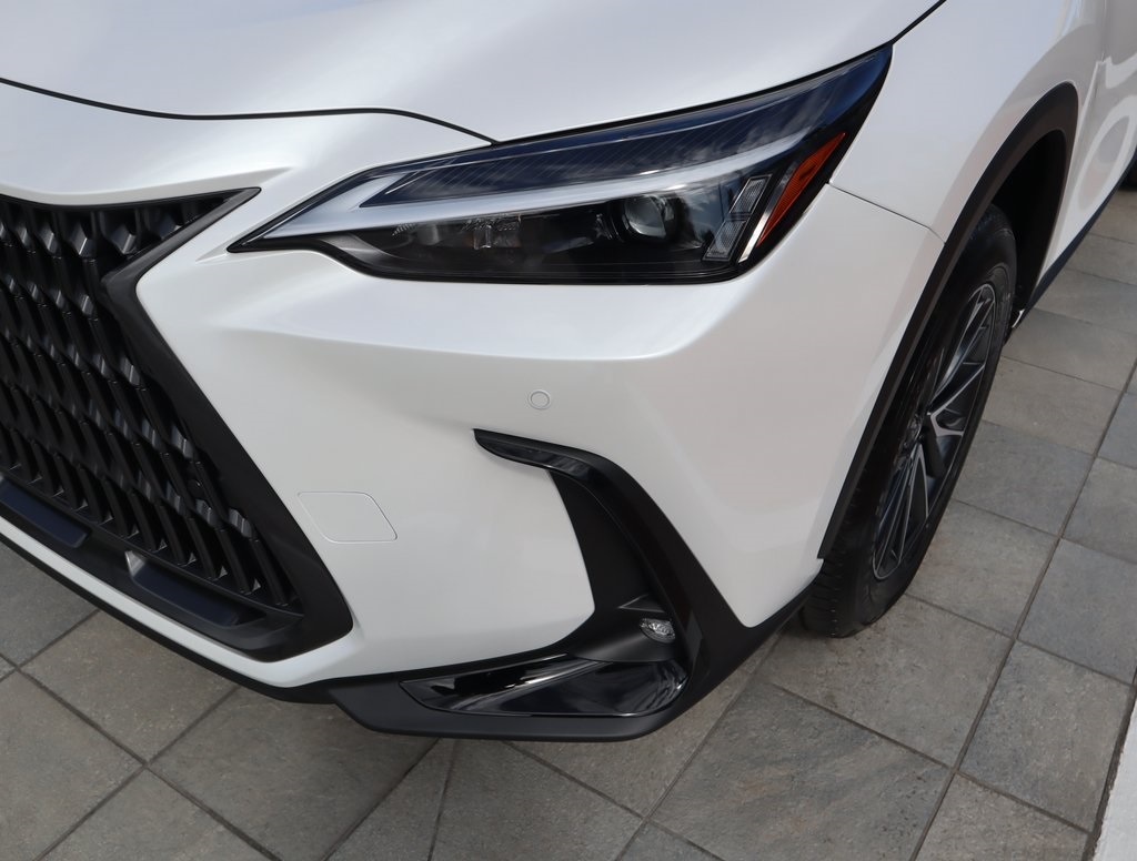 2025 Lexus NX 250 photo 14