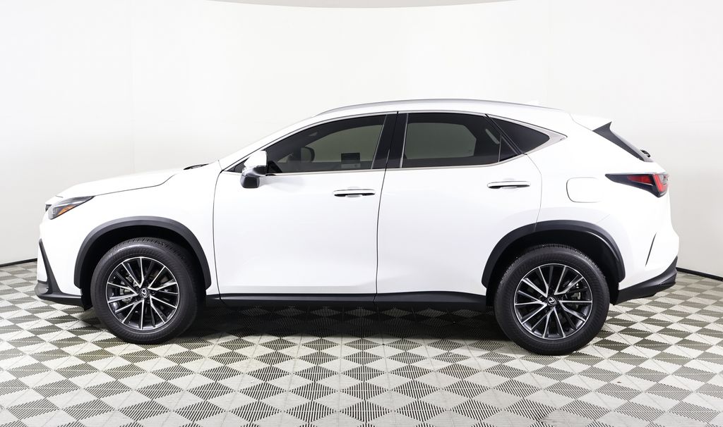 2024 Lexus NX 250 Premium photo 2