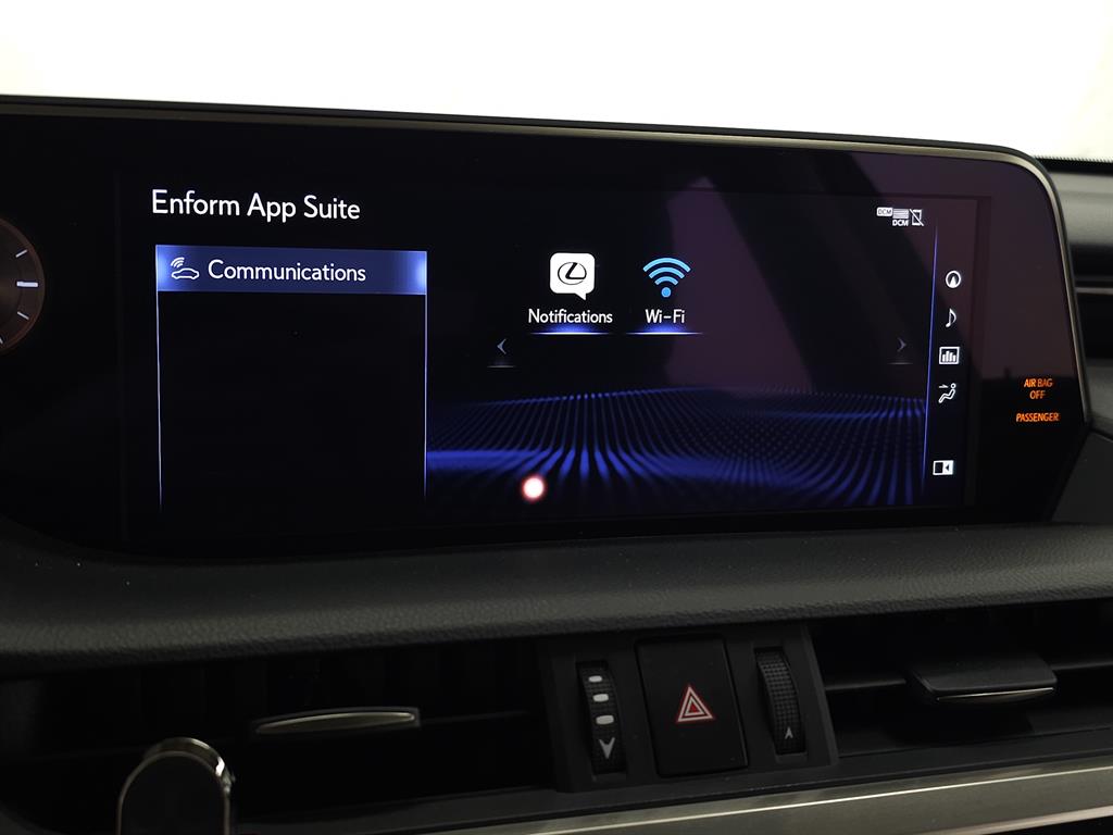 2020 Lexus ES 300h photo 24