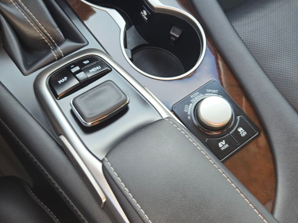 2019 Lexus RX 450h F SPORT photo 25