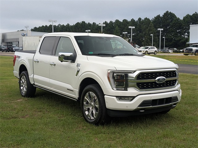 2022 Ford F-150 Platinum photo 2