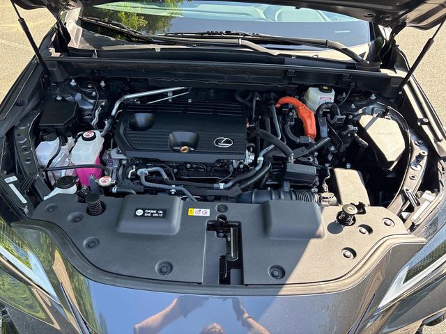 2022 Lexus NX 350h Luxury photo 10
