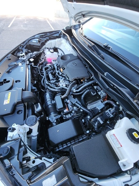 2023 Toyota Sienna XLE photo 20