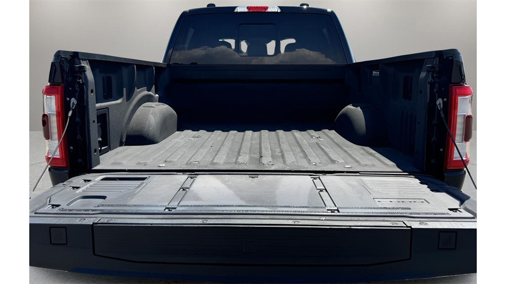 2022 Ford F-150 Platinum photo 26
