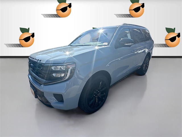 2025 Ford Expedition Platinum photo 3