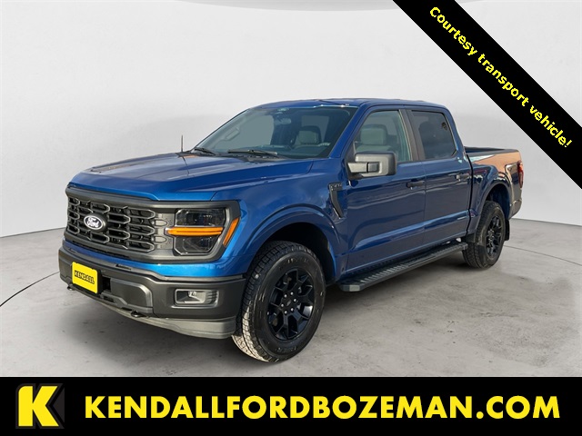 2025 Ford F-150 STX's photo