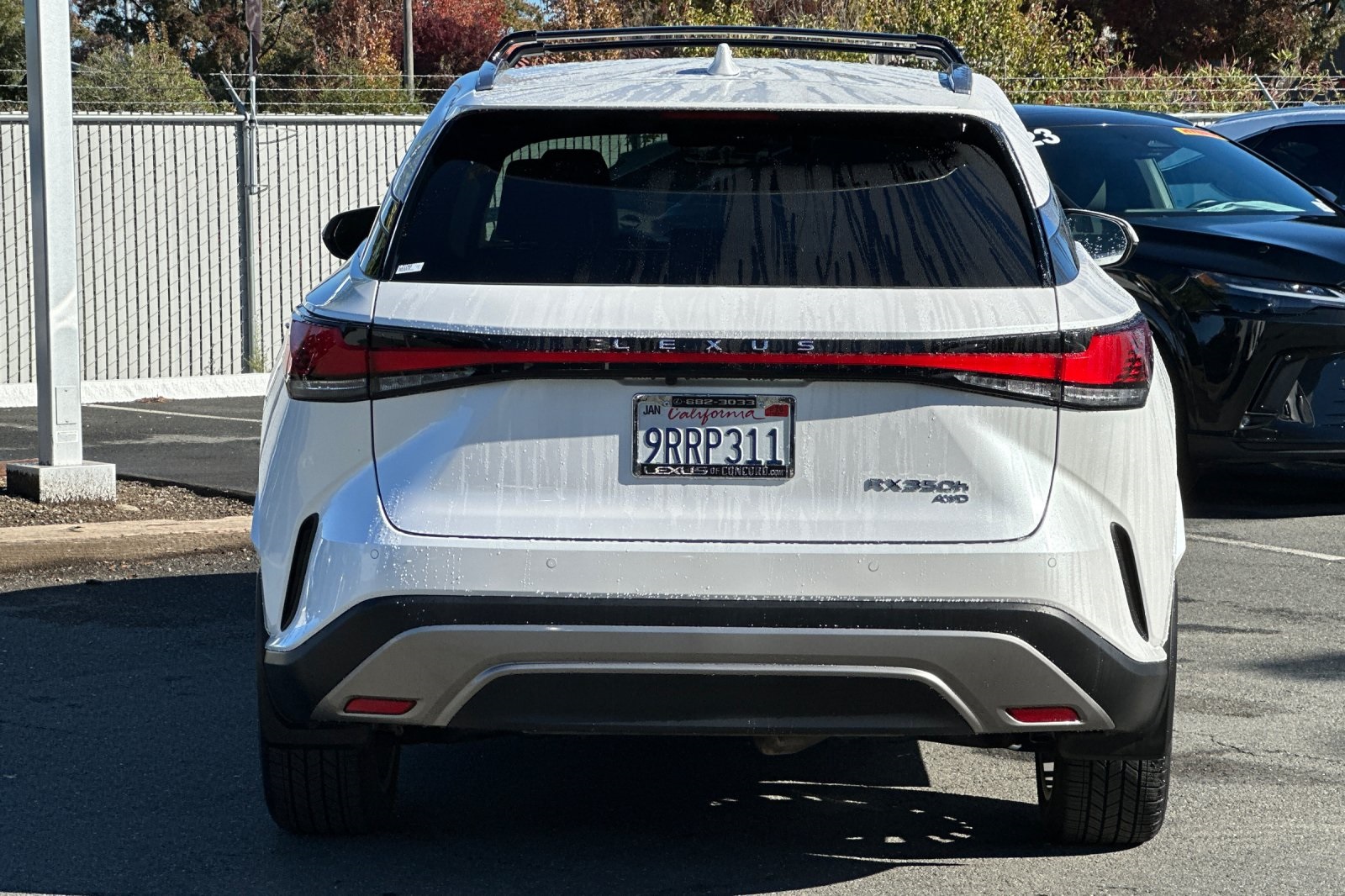 2025 Lexus RX 350h AWD photo 3