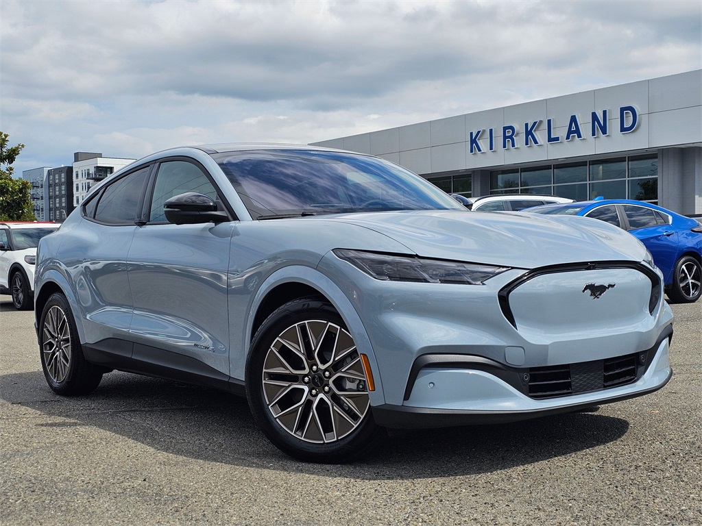 2025 Ford Mustang Mach-E Premium AWD's photo