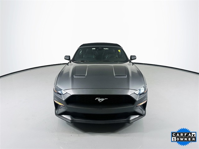 2023 Ford Mustang EcoBoost Premium photo 3