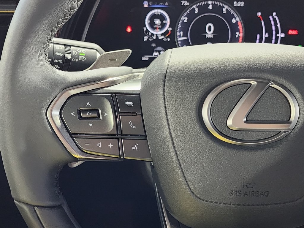 2025 Lexus RX 350 photo 14