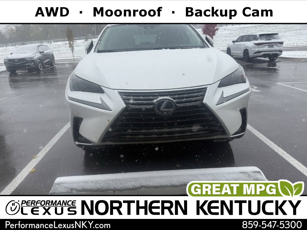 2020 Lexus NX Hybrid 300h's photo