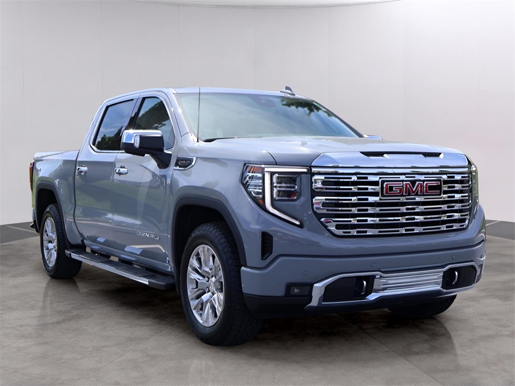 2025 Gmc Sierra 1500 Denali photo 3