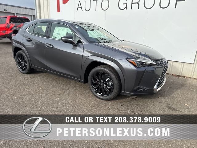 2025 Lexus UX Hybrid 300h Premium's photo