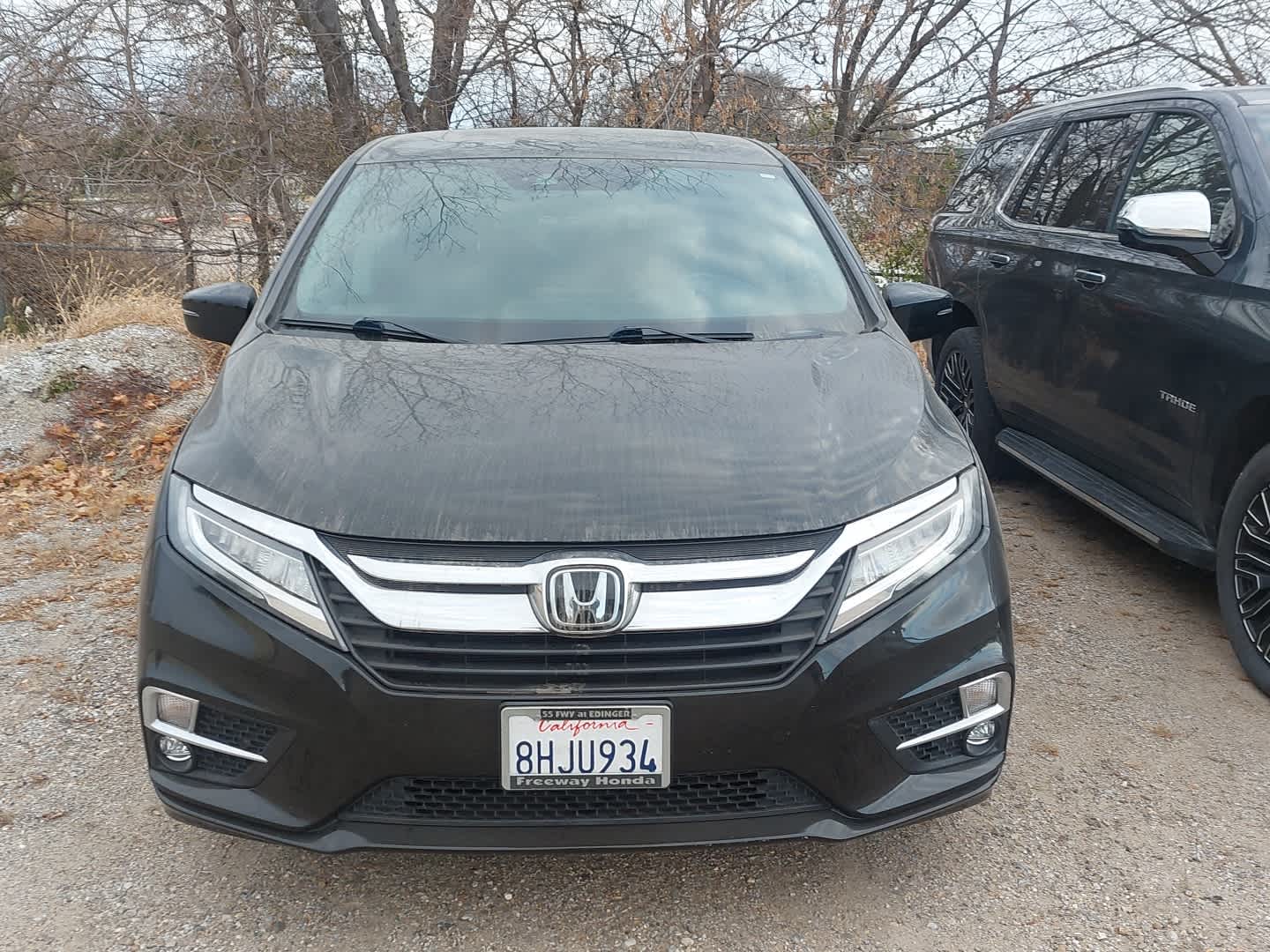 2019 Honda Odyssey Elite photo 2