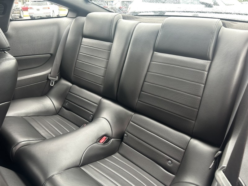 2007 Ford Mustang GT Deluxe photo 13