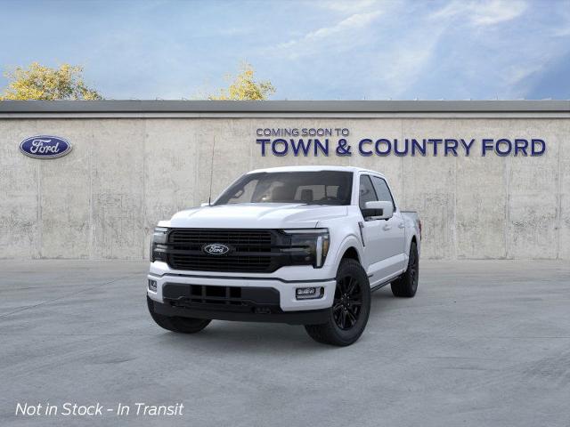 2025 Ford F-150 Platinum photo 20