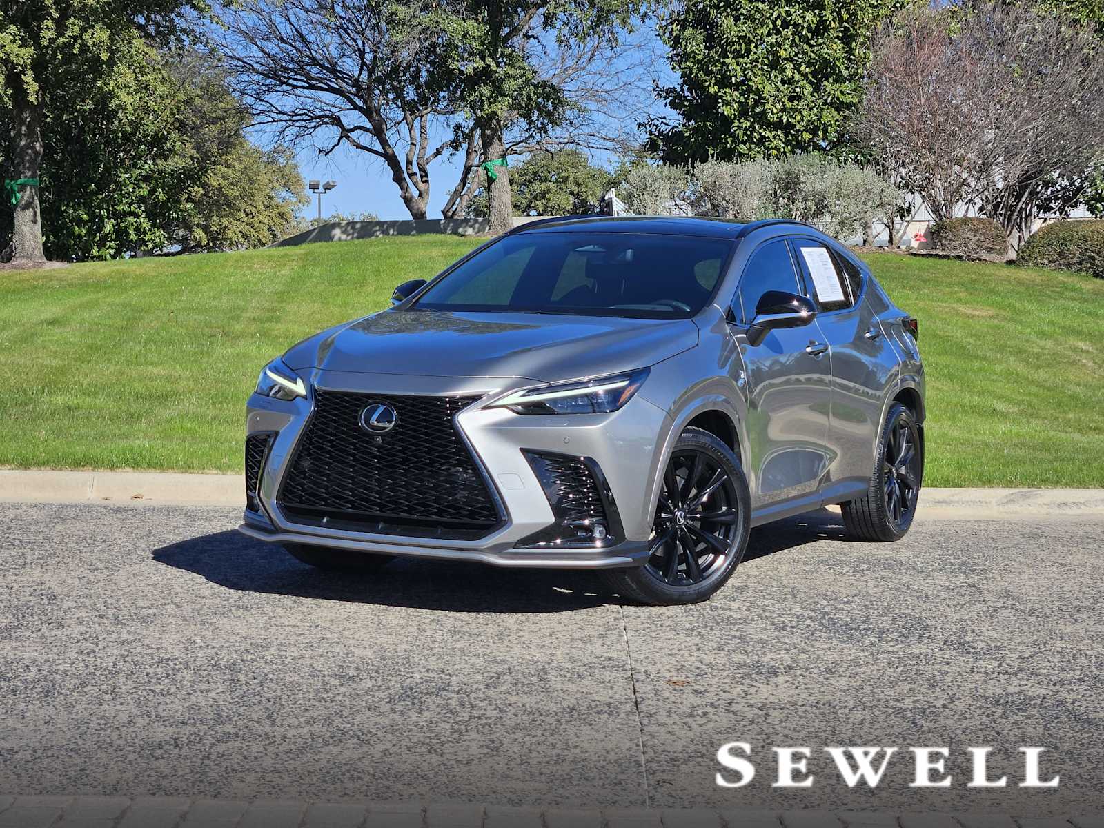2024 Lexus NX 350's photo