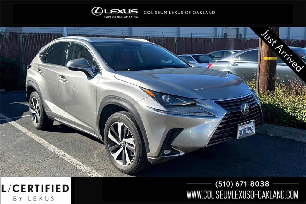 2021 Lexus NX Hybrid 300h's photo