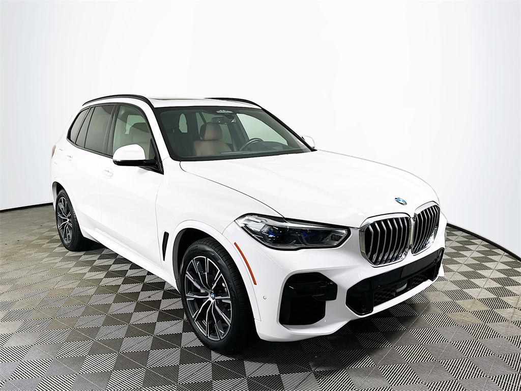 2022 Bmw X5 xDrive40i photo 3