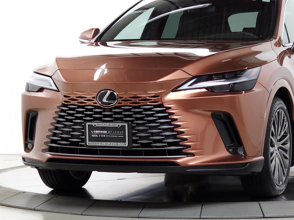 2025 Lexus RX 350h Luxury photo 3