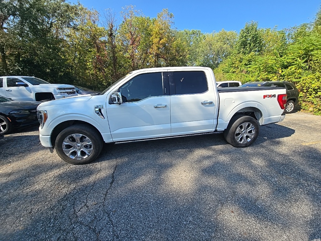 2023 Ford F-150 Platinum photo 3