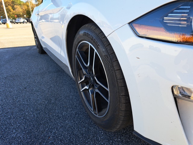 2023 Ford Mustang EcoBoost Premium photo 4