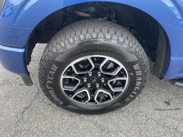 2023 Ford F-150 XL photo 10
