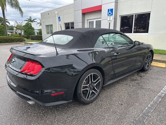 2023 Ford Mustang EcoBoost Premium photo 4