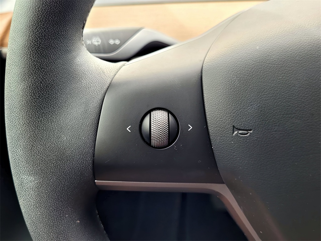 2025 Tesla Model Y Long Range photo 20