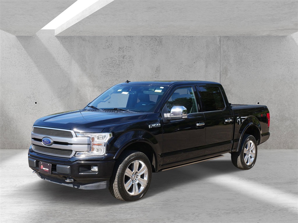 2019 Ford F-150 Platinum photo 2