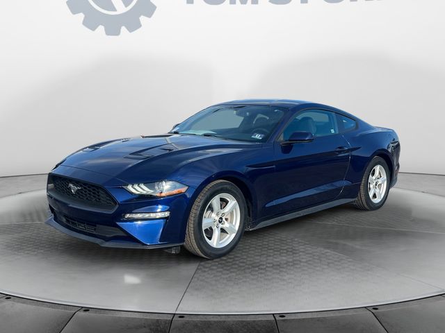 2019 Ford Mustang EcoBoost's photo