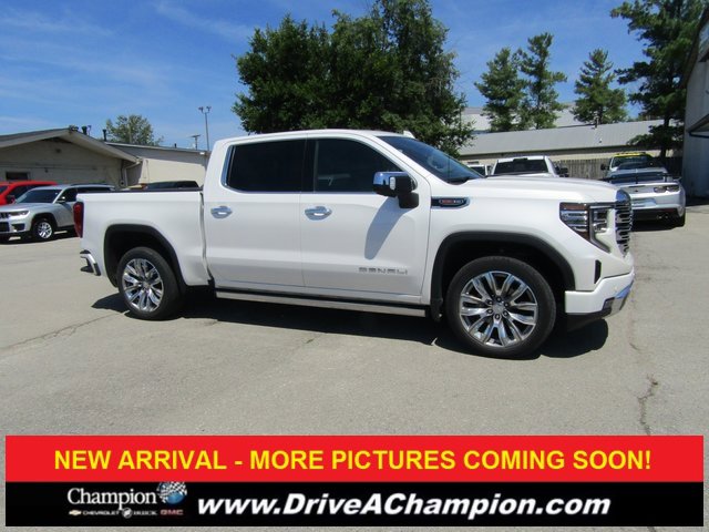 2022 Gmc Sierra 1500 Denali photo 3