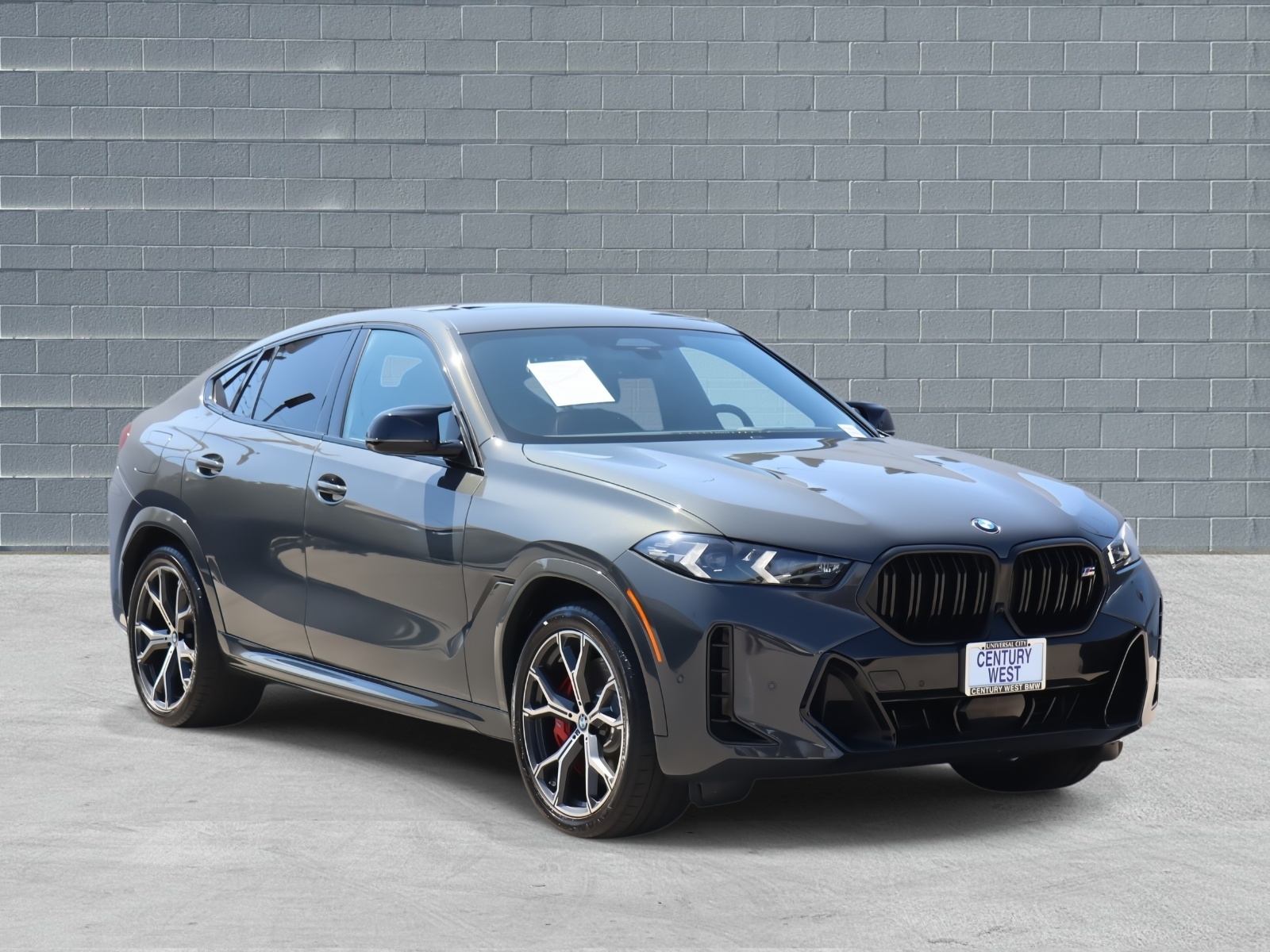 2025 BMW X6 M60i's photo
