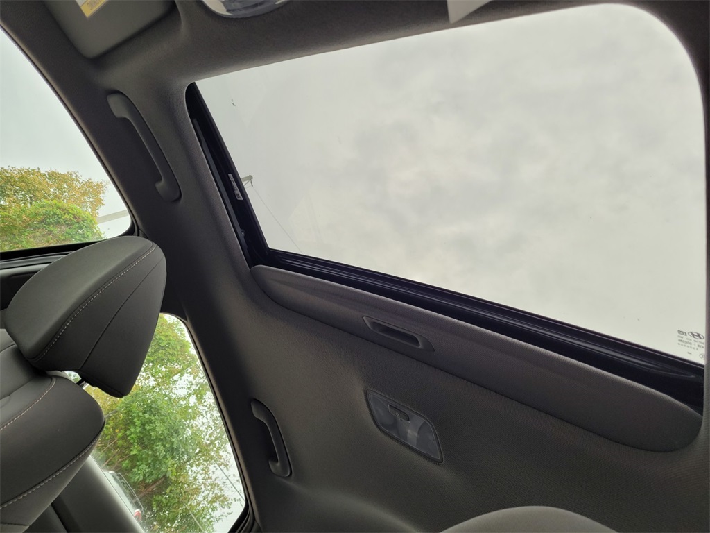 2024 Hyundai Elantra SEL Convenience photo 31