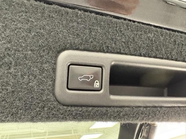 2017 Lexus RX 450h photo 28