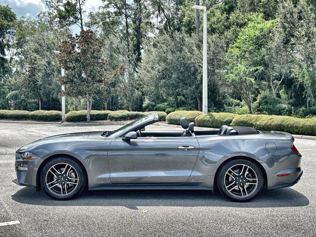 2023 Ford Mustang EcoBoost Premium photo 2