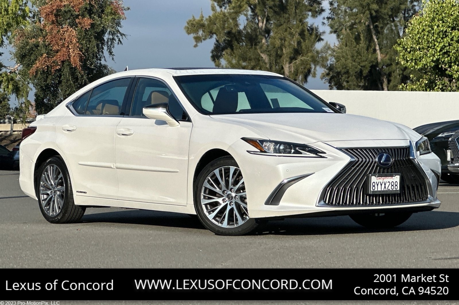 2021 Lexus ES Hybrid 300h's photo