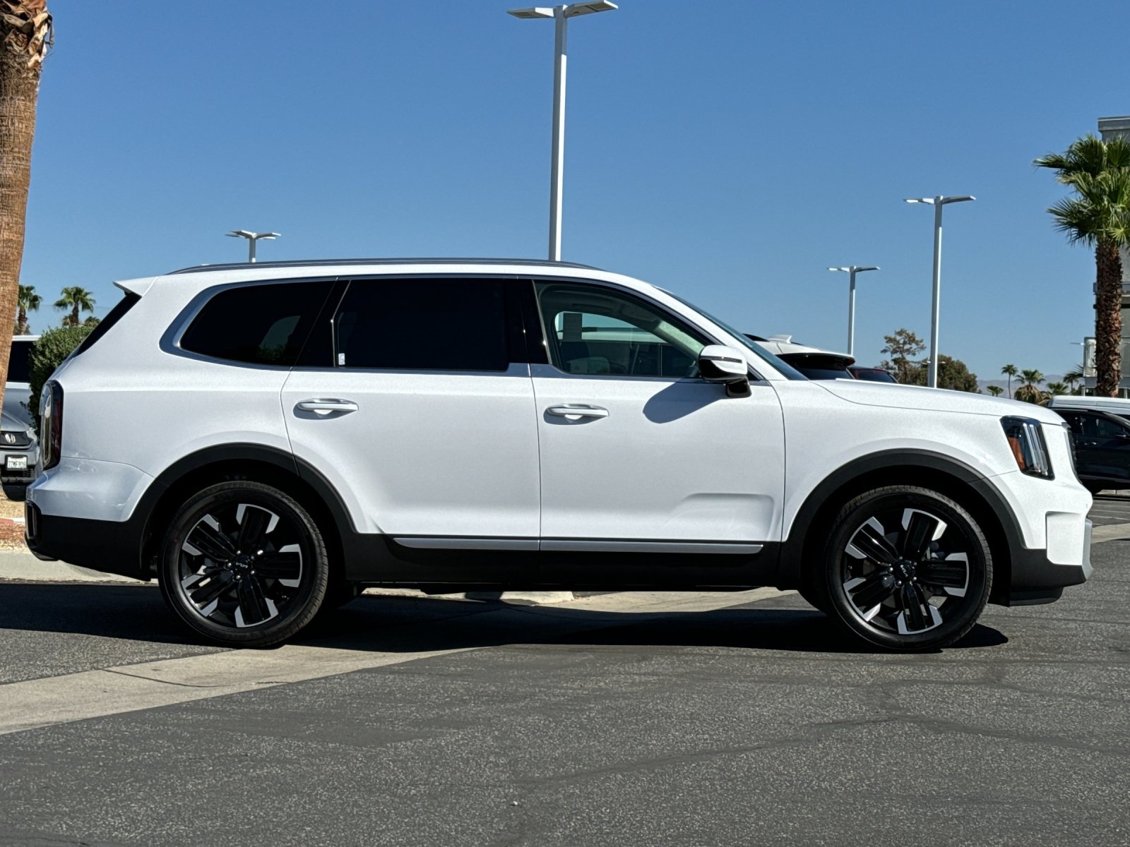 2025 Kia Telluride SX Prestige photo 2