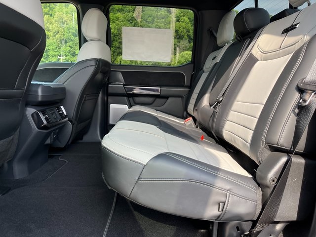 2025 Ford F-150 Lightning Platinum photo 19