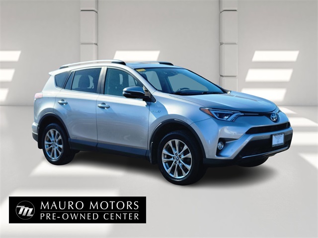 2017 Toyota RAV4 Limited