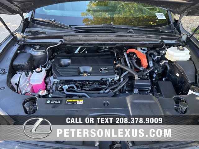 2024 Lexus RX 350h Premium photo 9