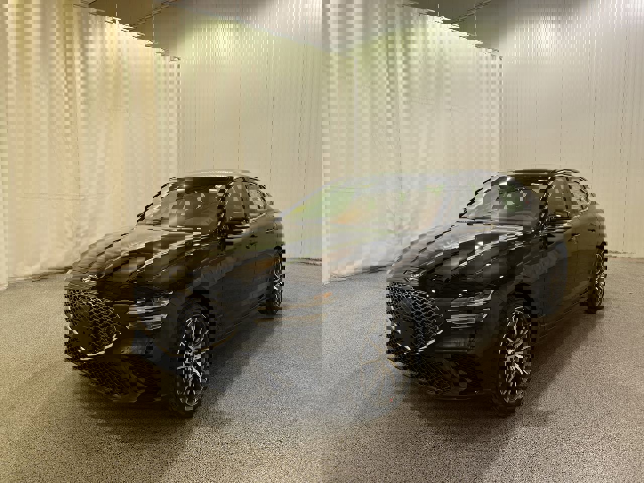 New 2026 Vik Black Genesis 2.5T Standard image 4