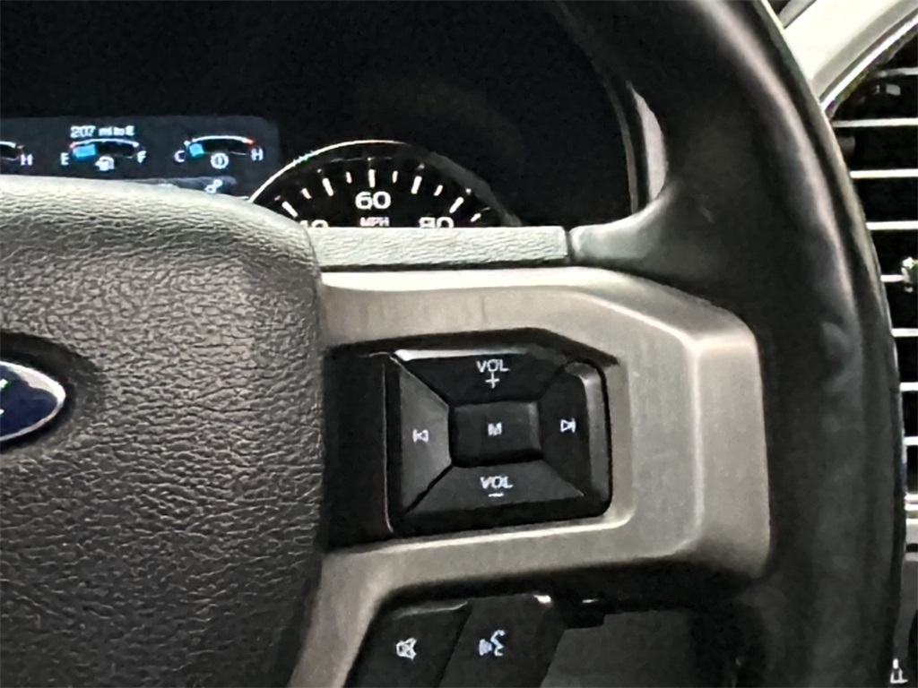 2017 Ford F-150 Platinum photo 17
