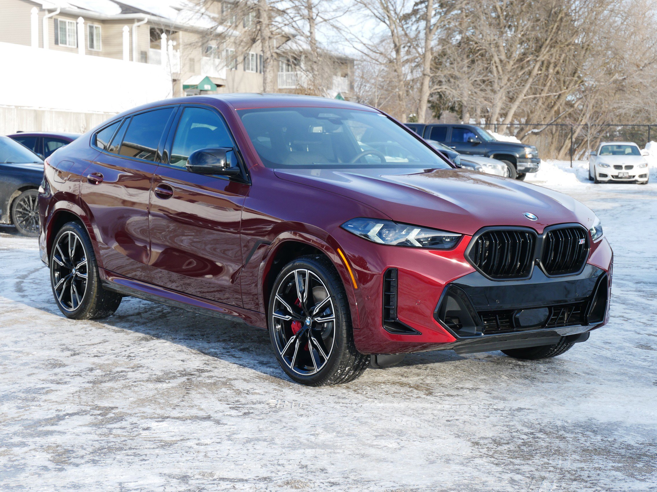 2026 BMW X6 M60i's photo