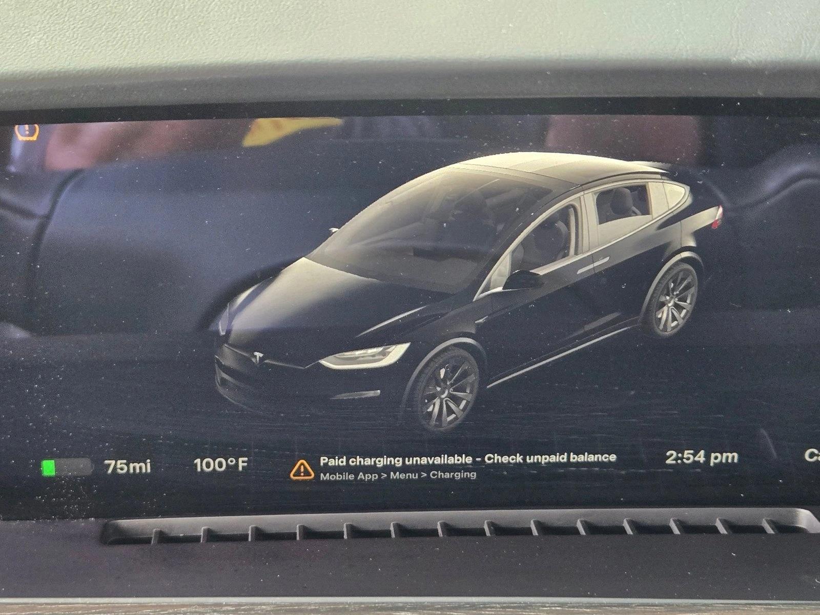 2022 Tesla Model X photo 13