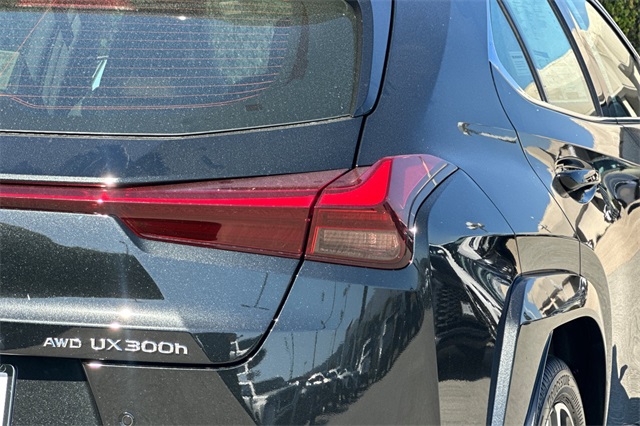 2025 Lexus UX Premium photo 7